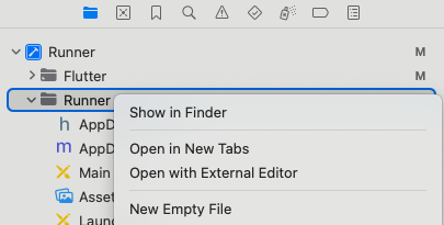 New Empty File option in Xcode